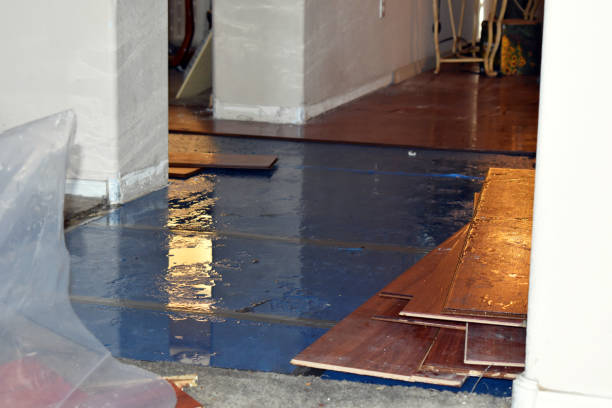 Professional Sewage Cleanup technician working in Renner, SD
